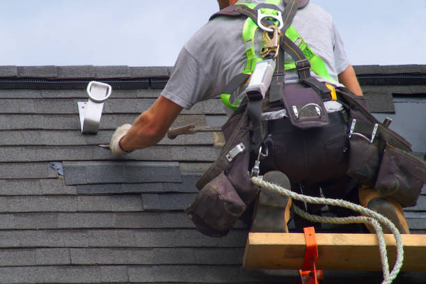 Best Roof Gutter Cleaning  in Grantsburg, WI