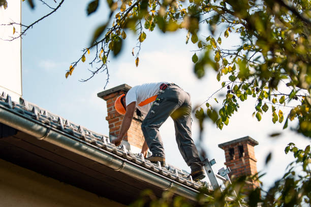 Best Roof Maintenance Services  in Grantsburg, WI